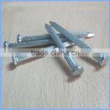 Cement Nails / Concrete Steel Nails From Guangzhou Supplier thumbnail-5