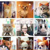 1940H New Design Cat Hats Wholesale Fashion Pet Hats for Cats thumbnail-4