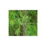 White Willow Extract thumbnail-1