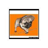 Sell Pet Product thumbnail-1