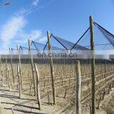 Customized 100% HDPE Apple Tree Anti Hail Net for Agriculture thumbnail-1