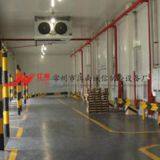 Apricot Fruit Principle and Advantages of Controlled Atmosphere Storage thumbnail-3