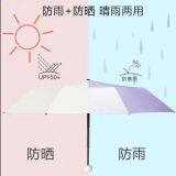 Beach Umbrella thumbnail-5