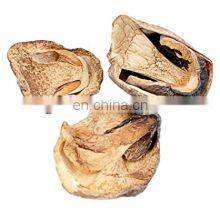 High Quality Dried Straw Mushroom/Wholesale Bulk Mushroom From Vietnam