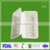 Biodegradable Disposable Sugarcane Fibers Packaging Trays