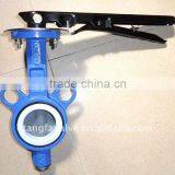 PTFE Cast Iron Butterfly Valve Without Pin