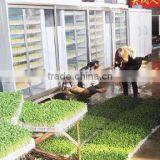 Hydroponics Animal Fodder Machine Animal Fodder Making Machine , Bean Sprout Machine , Barley Sprout Machine thumbnail-1