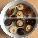 Dried Shiitake Mushroom ( CAP 3-4 CM )