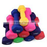 Exercise Equipment Cast Iron Neoprene Dumbbell for Women