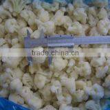 2013 New Green Giant Frozen Vegetable thumbnail-3