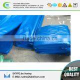 20-ft x 30-ft General Purpose Blue Poly Tarp,Blue Adjustable Tarps