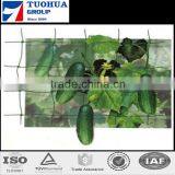 Plastic Green Plant Support/Climbing Net(Top Quality with ISO Certificte)