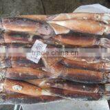 Frozen Squid /Illex Squid /Argentine Squid thumbnail-3