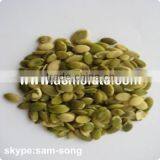 Grade A Products Pumpkin Seeds Kernel Without Shell