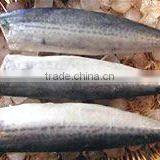 Frozen Horse Mackerel Head off thumbnail-1