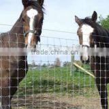 Fixed Knot Lowes Hog Wire Fencing thumbnail-2