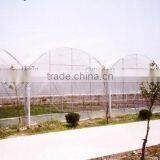 Arch in Plastic Greenhouse thumbnail-1