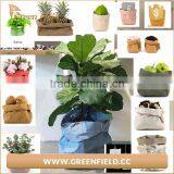 Vegetable Grow Pots Garden Bag Planter Garden Kraft Paper Grow Bags thumbnail-1