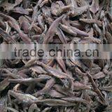 Italy Processing Way Salted Anchovy Fillets thumbnail-5