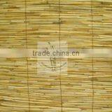 Reed Screen thumbnail-3