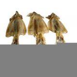 Sell Dried Squid Whole thumbnail-1