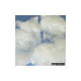 Sell Virgin Grade Hollow Conjugated Fibers thumbnail-1