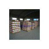 New Crop Garlic thumbnail-1