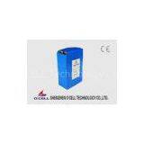 LiFePO4 Battery Backup Power System With Short Circuit Protection