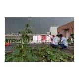 Custom Giant P10 Outdoor SMD LED Display IP65 With Full Color For Railways