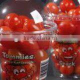 Fruit Container, PET Drinking Cups,Clear Plastic Cups and Lids thumbnail-1