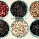 Full Automatic Grinding Machine thumbnail-4