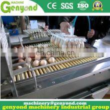 Brand New Automatic Egg Sorting Machine thumbnail-3