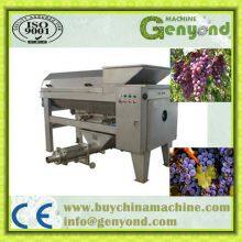 Grape Sorting Machine Grape Processing Separation Machine thumbnail-5
