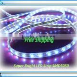 Hot Sales! Free Shipping Waterproof IP65 LED Flexible Strip SMD3528 30LED/M 8MM Competitive Price $1.5 with CE&RoHS Cool White