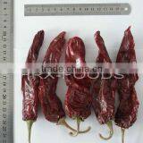 Chinese Exported Dry Sweet Paprika Whole thumbnail-1