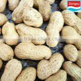 Bulk Peanut in Shell 11/13