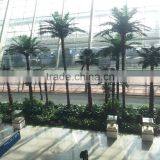 Artificial Palm Tree Decoration Design For Airport Interior Decoration