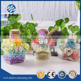 50ml Star Shaped Clear Glass Decorative Bottle