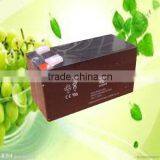 Sealed Lead Acid Storage Battery 12V1.2AH