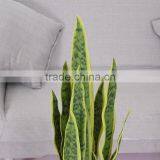 Yiwu Cheap Artificial Sansevieria Plant Tree for Home Decoration Factory Wholesale thumbnail-4