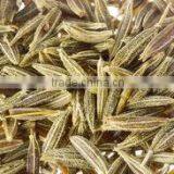 Zira (cumic) thumbnail-5