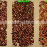 Kidney Beans Ccd Camera Color Sorter Machine thumbnail-2