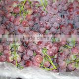 New arrival red grapes,2013 red grapes