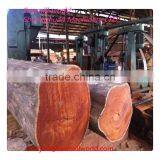 High Capacity Vertical Wood Cutting Band Saw for Sale