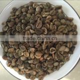 Vietnam Robusta green coffee bean