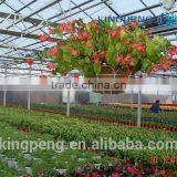 Greenhouse for Growing Flowers thumbnail-5