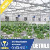 Modernization Intelligent Green House With Multi-Function thumbnail-5