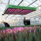 Mars Reflector 192 960w 900w Led Grow Light Full Spectrum Reflector Marshydro Led Cob Grow Light Grow Lamp Hydroponic