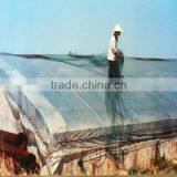 Agricultral Transparent Hdpe uv Resistant Plastic Film for Greenhouse thumbnail-4