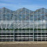 Hot Sale Large Size Multi-span Commercial Glass Covering Greenhouse thumbnail-2